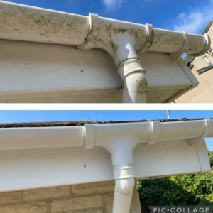 Roof Cleaning