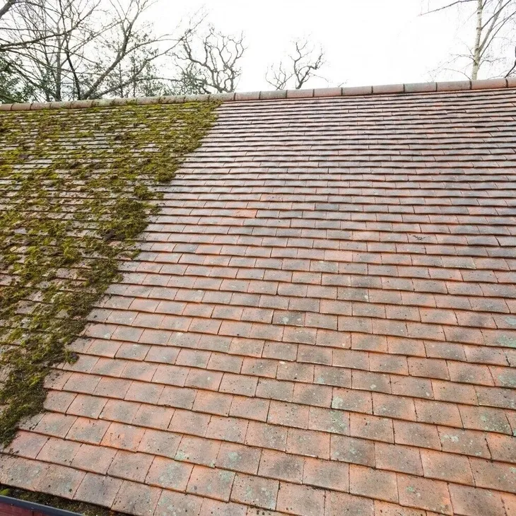 Roof Cleaning Dorchester