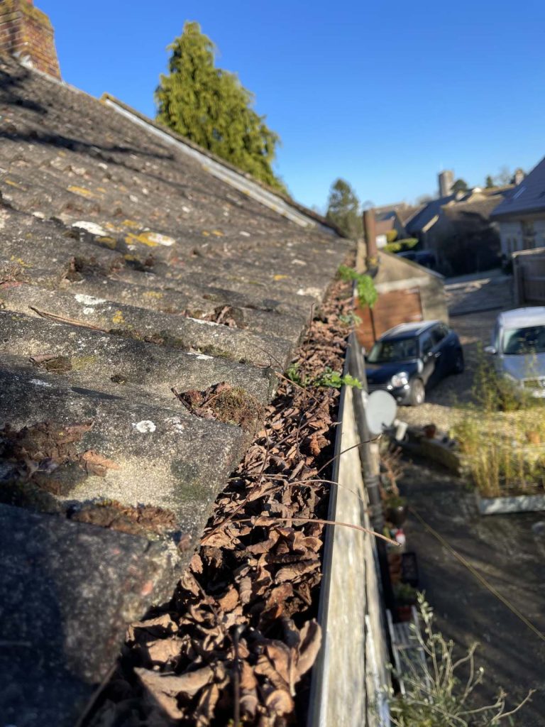 roof moss and debris removal service