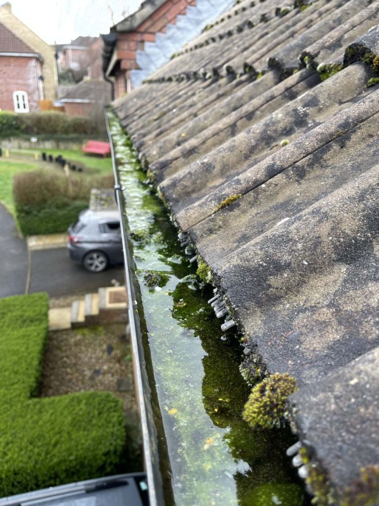 moss and debris removal from roof gutters