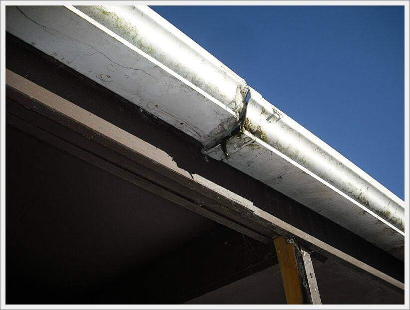 clean roof gutters after professional debris removal